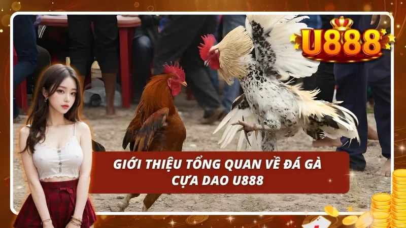 Thông tin về bộ môn Đá Gà Cựa Dao U888