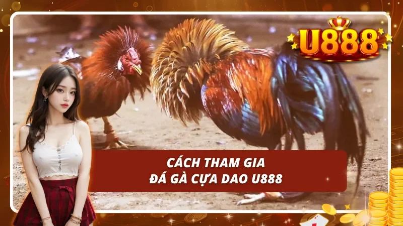 Từng bước chi tiết để có thể tiến hành cá cược đá gà cựa dao