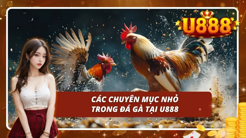 05 chuyên mục thông tin nhỏ về đá gà