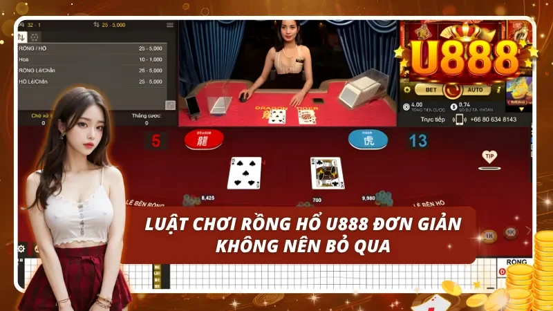 Hướng dẫn cơ bản để bắt đầu chơi rồng hổ tại U888